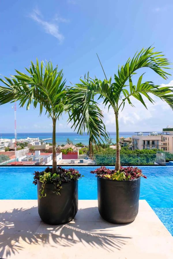 Stayon5A.Av.Penthouse With Privatepool Freeparking Playa del Carmen Exteriér fotografie